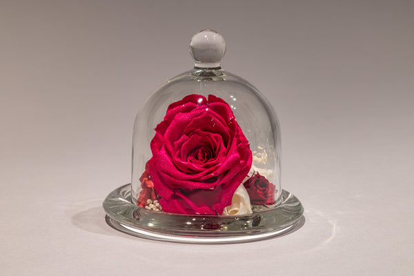 DomeFlower -diamond rose-